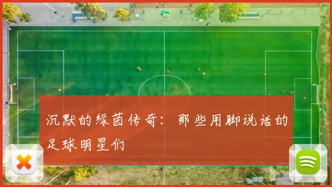 沉默的绿茵传奇：那些用脚说话的足球明星们