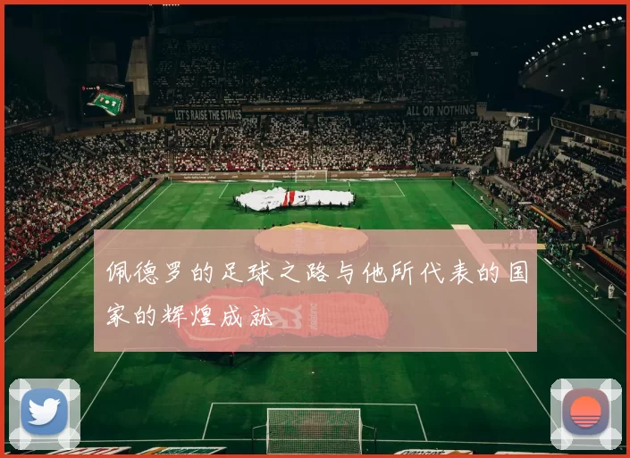 佩德罗的足球之路与他所代表的国家的辉煌成就