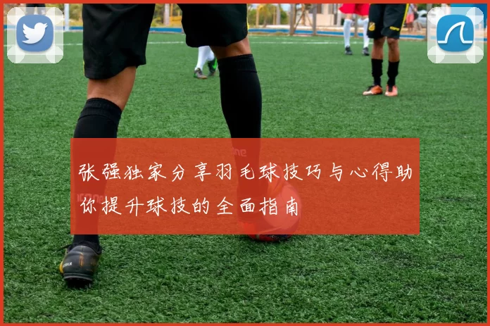 张强独家分享羽毛球技巧与心得助你提升球技的全面指南