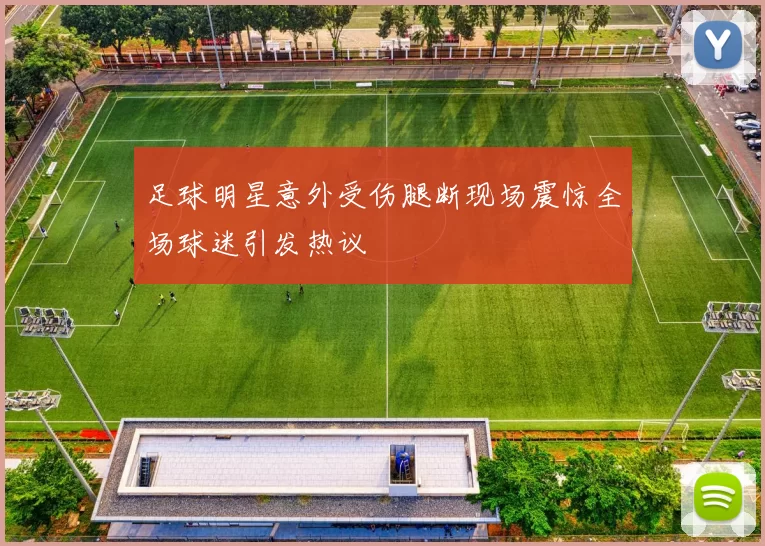 足球明星意外受伤腿断现场震惊全场球迷引发热议