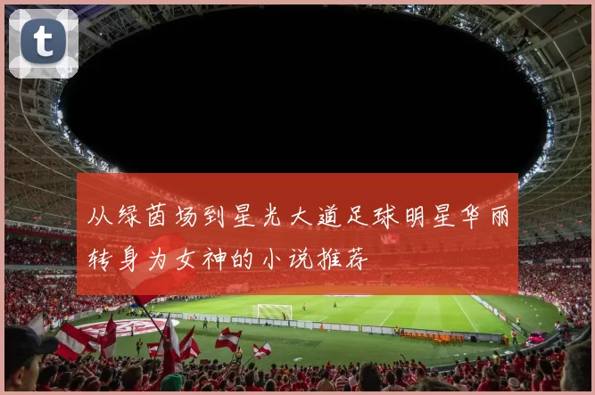 从绿茵场到星光大道足球明星华丽转身为女神的小说推荐