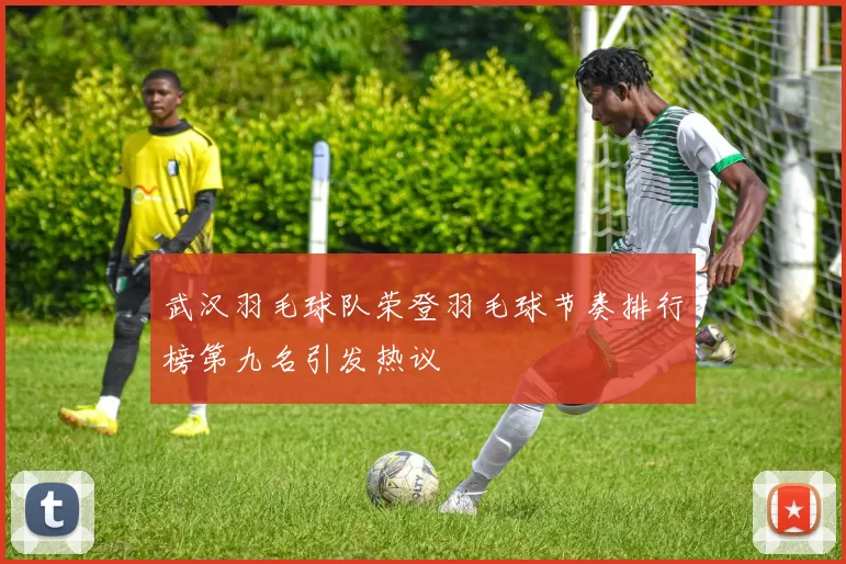 武汉羽毛球队荣登羽毛球节奏排行榜第九名引发热议