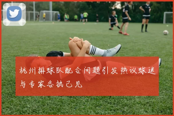 杭州排球队配合问题引发热议球迷与专家各执己见