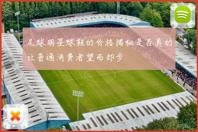 足球明星球鞋的价格揭秘是否真的让普通消费者望而却步
