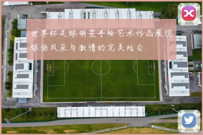 世界杯足球明星手绘艺术作品展现球场风采与激情的完美结合
