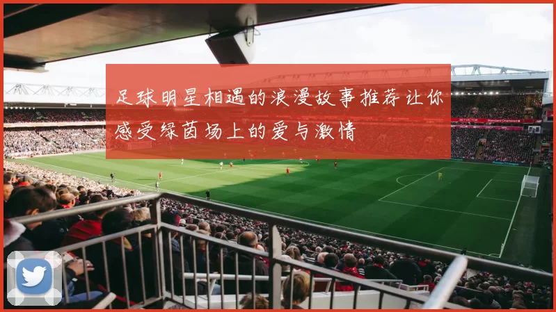 足球明星相遇的浪漫故事推荐让你感受绿茵场上的爱与激情