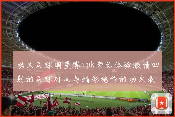 功夫足球明星赛apk带你体验激情四射的足球对决与精彩绝伦的功夫表演