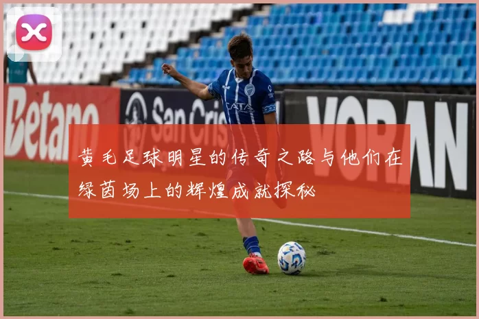 黄毛足球明星的传奇之路与他们在绿茵场上的辉煌成就探秘