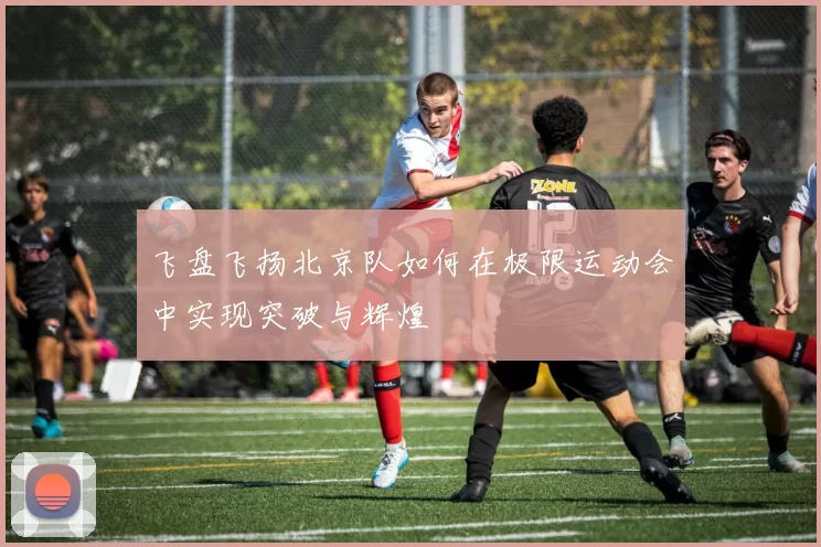 飞盘飞扬北京队如何在极限运动会中实现突破与辉煌