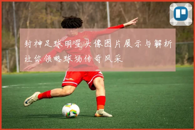 封神足球明星头像图片展示与解析让你领略球场传奇风采