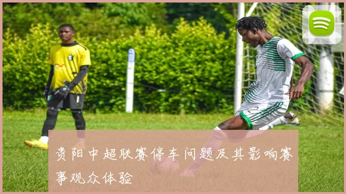 贵阳中超联赛停车问题及其影响赛事观众体验