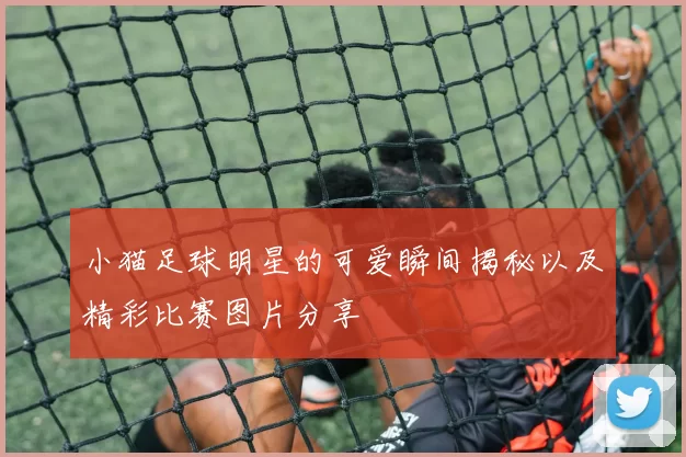 小猫足球明星的可爱瞬间揭秘以及精彩比赛图片分享