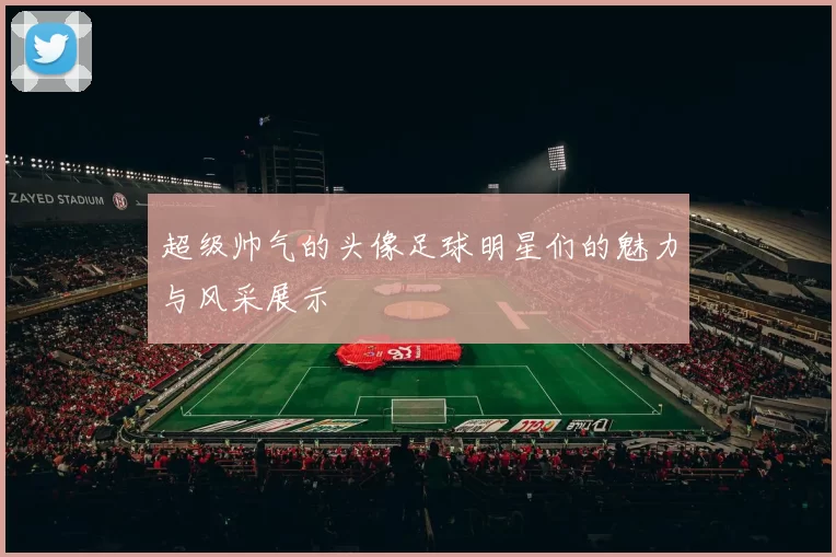 超级帅气的头像足球明星们的魅力与风采展示