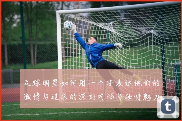 足球明星如何用一个字表达他们的激情与追求的深刻内涵与独特魅力